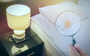 How To Deal With Bedbugs When You Travel