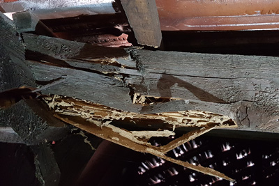 Termite damage to roof timbers