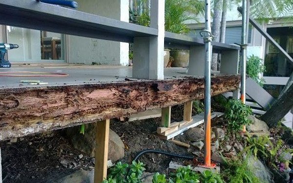 Termite damage bearers and joists